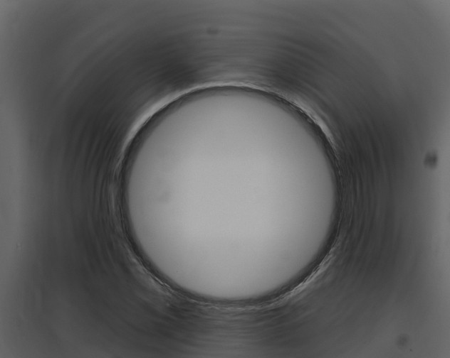X0000097851069200803140851