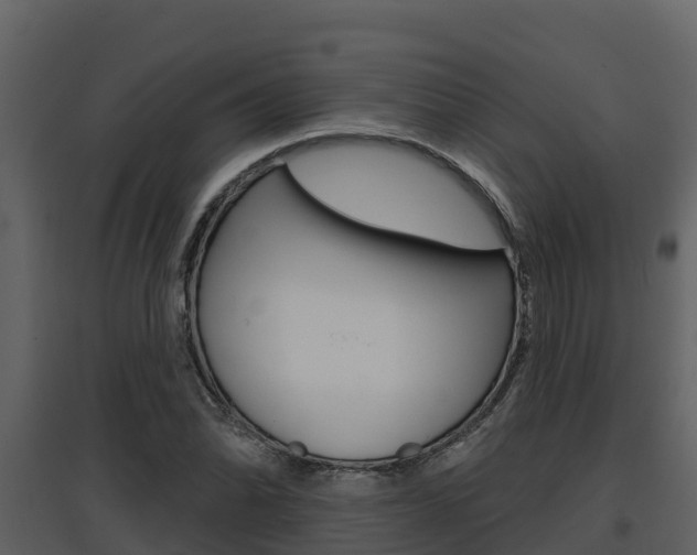 X0000097851070200803140851