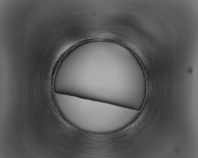 X0000097851071200803140851