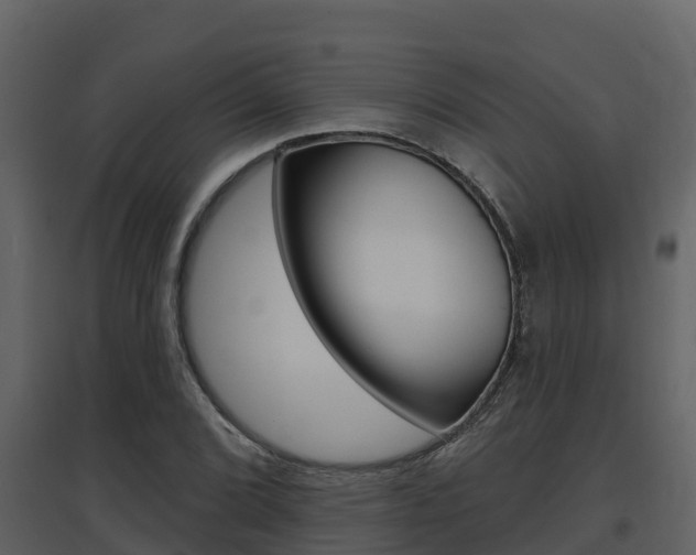 X0000097851072200803140851