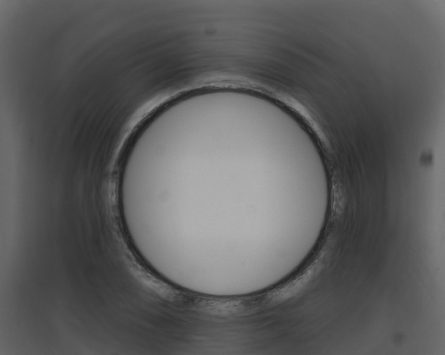 X0000097851074200803140851