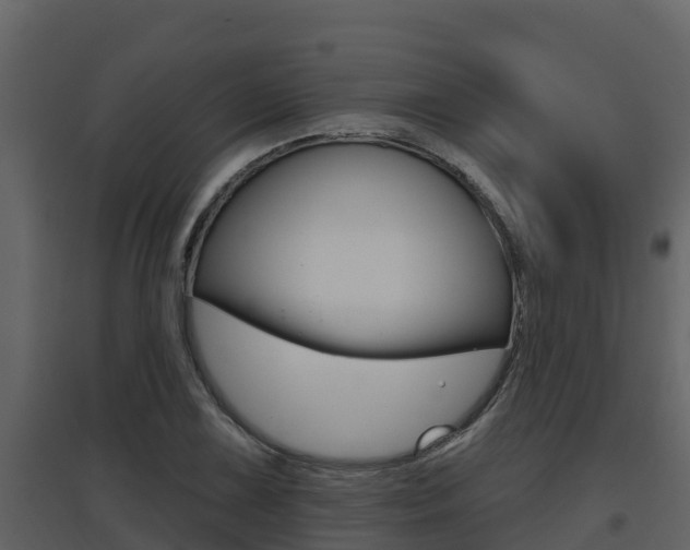 X0000097851075200803140851