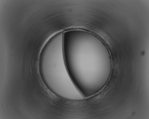 X0000097851076200803140851