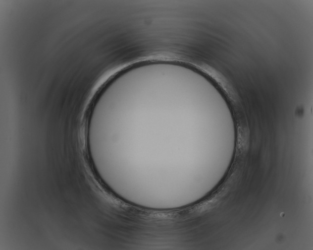 X0000097851078200803140851