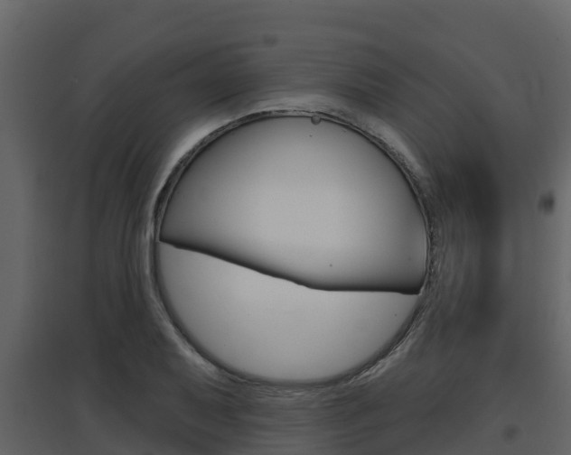 X0000097851079200803140851