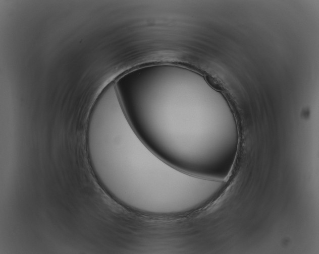 X0000097851081200803140851
