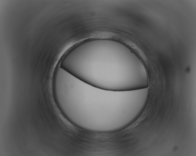 X0000097851083200803140851
