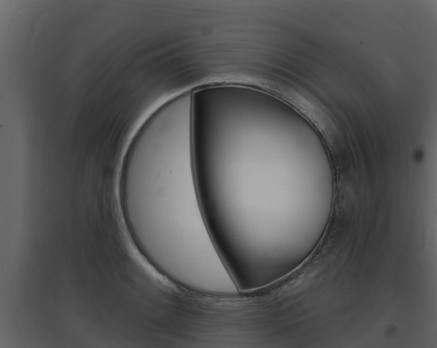 X0000097851084200803140851