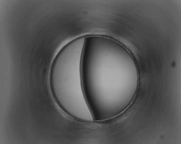 X0000097851085200803140851