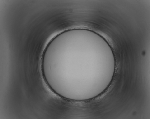 X0000097851086200803140851