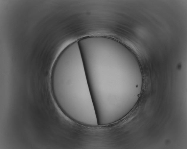 X0000097851087200803140851