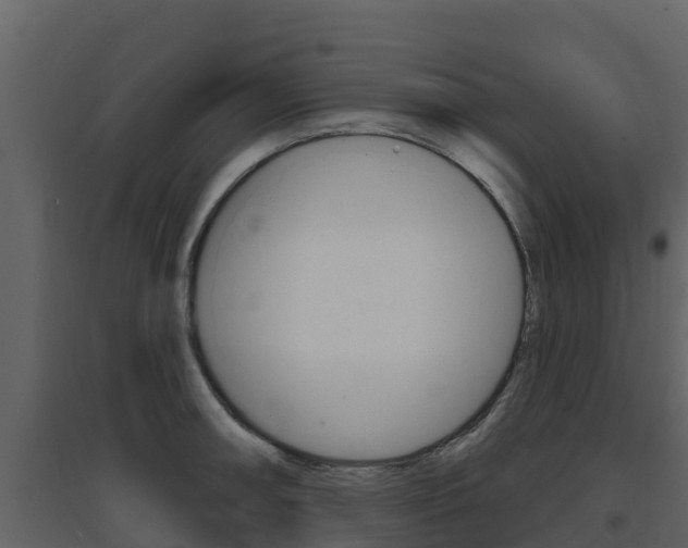 X0000097851090200803140851