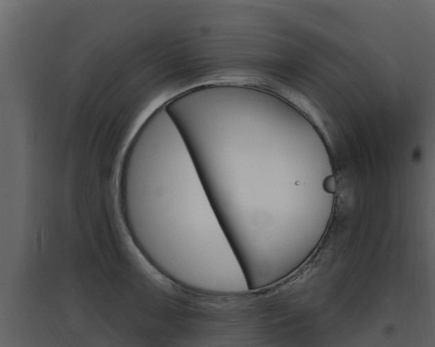X0000097851091200803140851