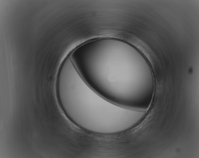 X0000097851093200803140851