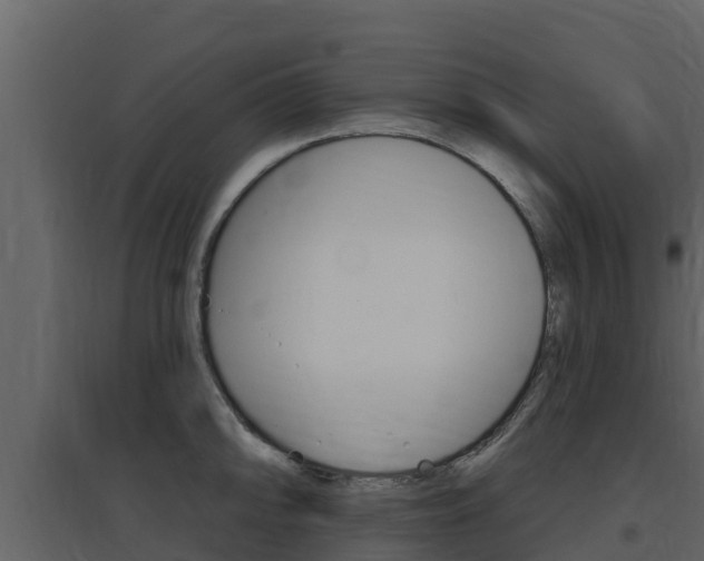 X0000097851094200803140851