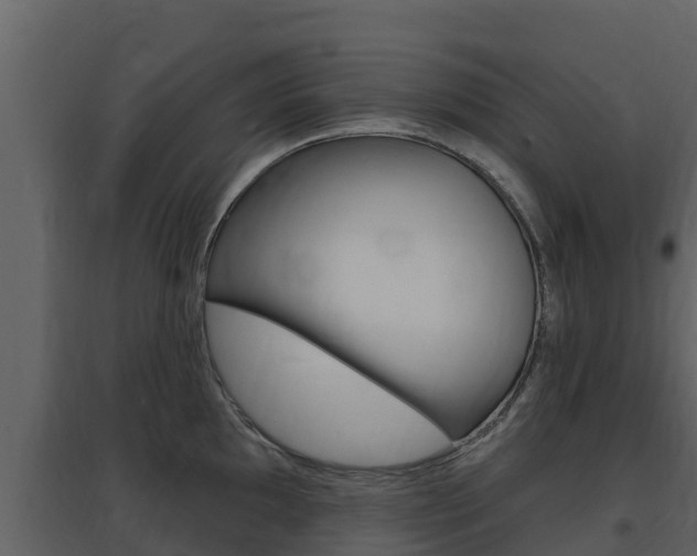 X0000097851097200803140851