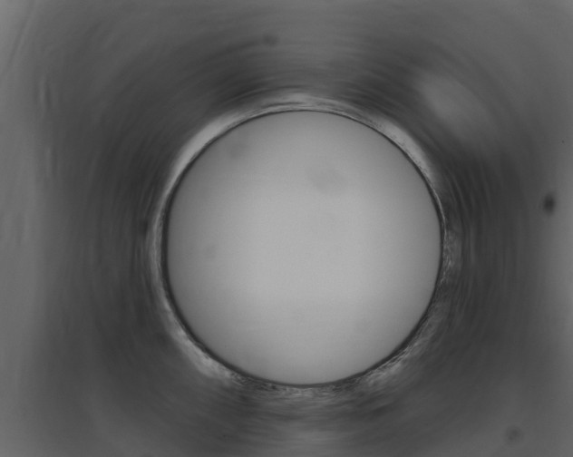 X0000097851098200803140851