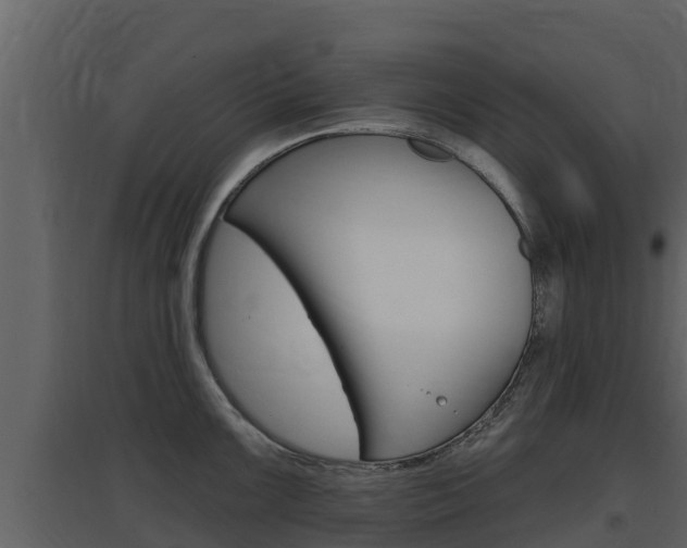 X0000097851099200803140851