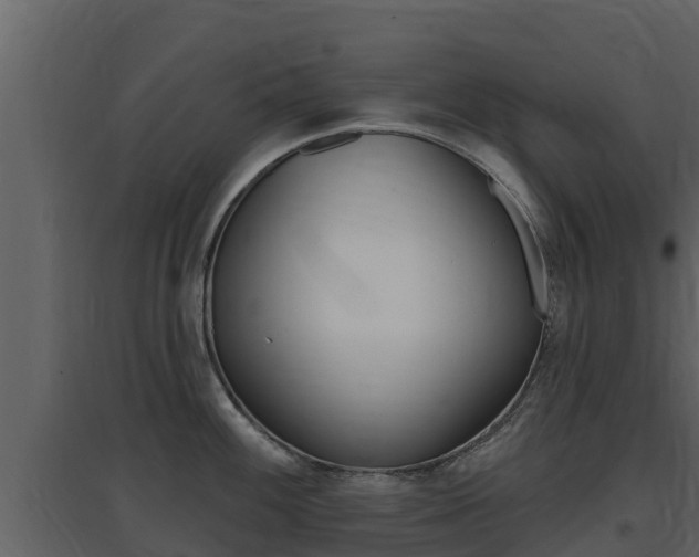 X0000097851100200803140851