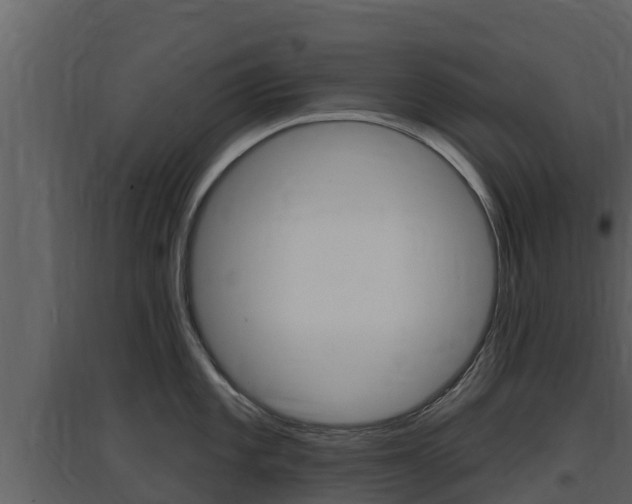 X0000097851101200803140851