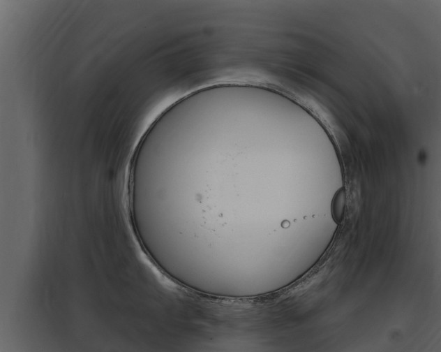 X0000097851103200803140851