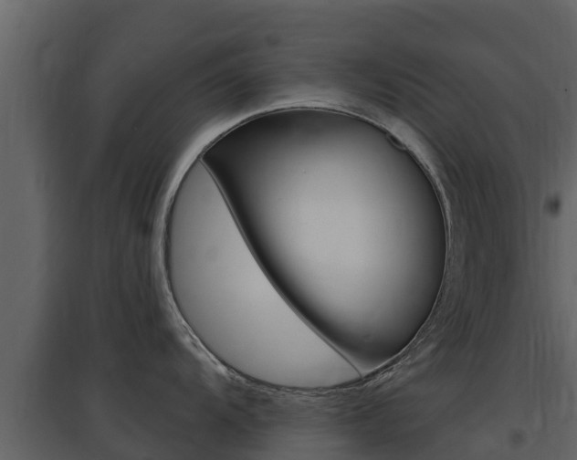 X0000097851104200803140851
