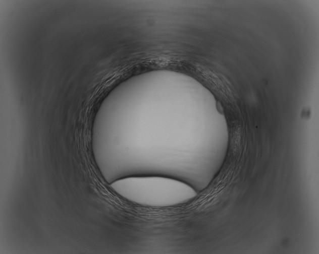 X0000097851105200803140850