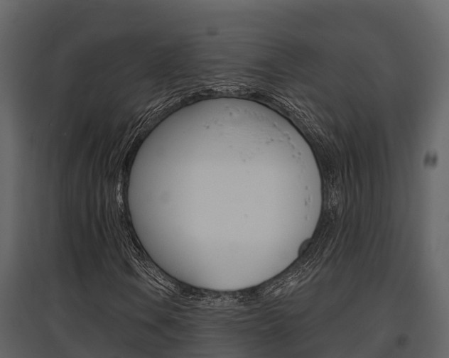 X0000097851106200803140850