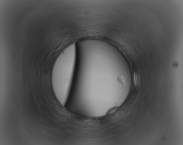 X0000097851107200803140850