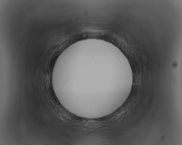 X0000097851109200803140850