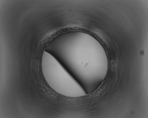 X0000097851111200803140850