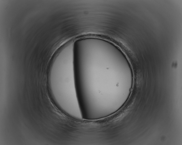 X0000097851113200803140850