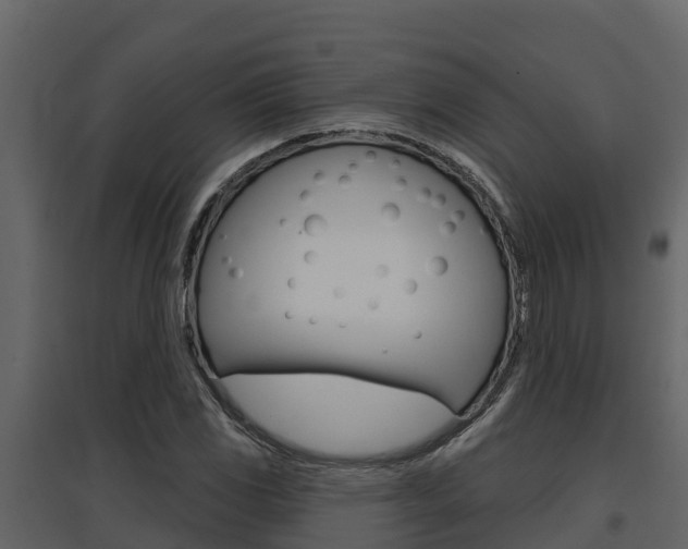 X0000097851117200803140850