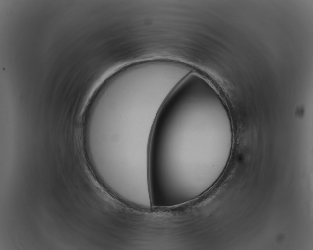 X0000097851118200803140850
