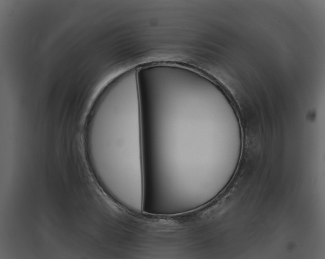 X0000097851119200803140850
