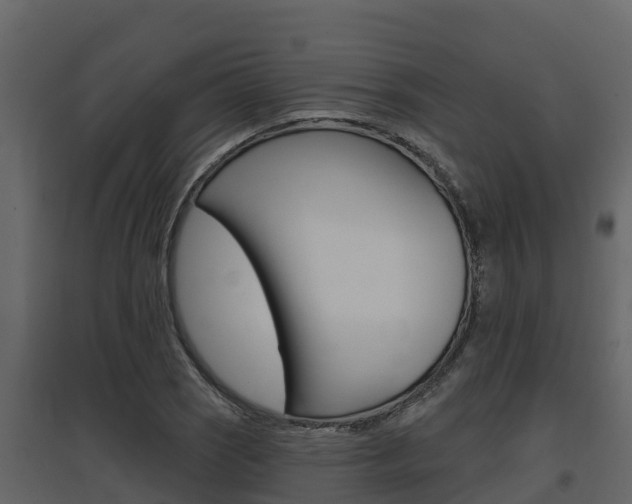 X0000097851121200803140850