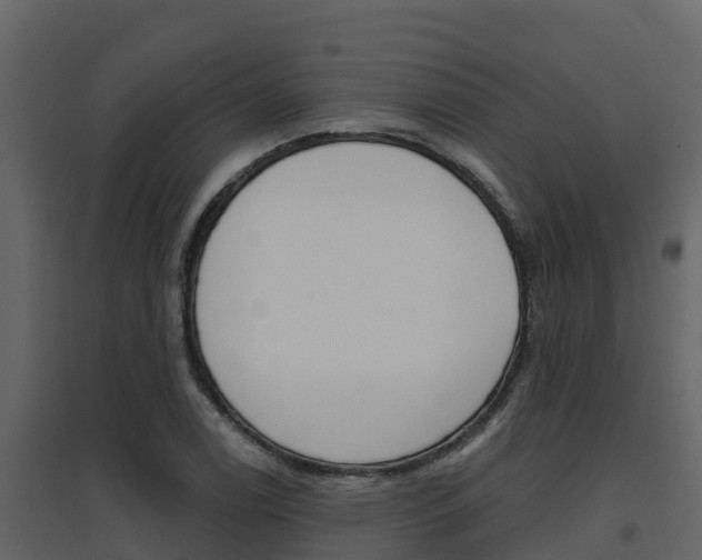 X0000097851122200803140850