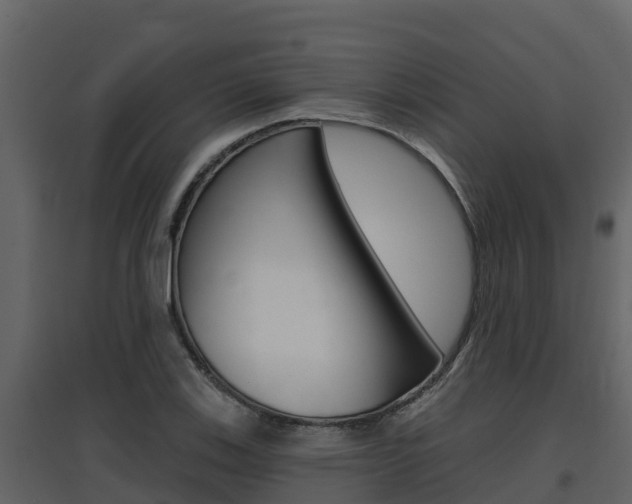 X0000097851123200803140850