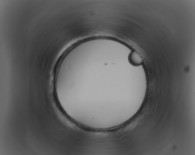 X0000097851126200803140850