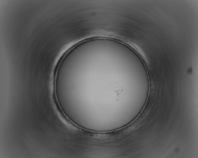 X0000097851128200803140850