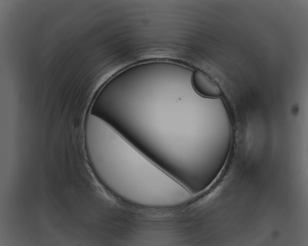 X0000097851129200803140850