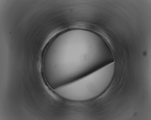 X0000097851131200803140850