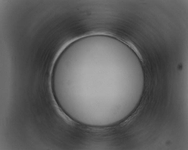 X0000097851132200803140850
