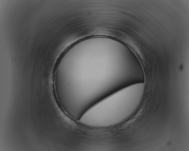 X0000097851133200803140850
