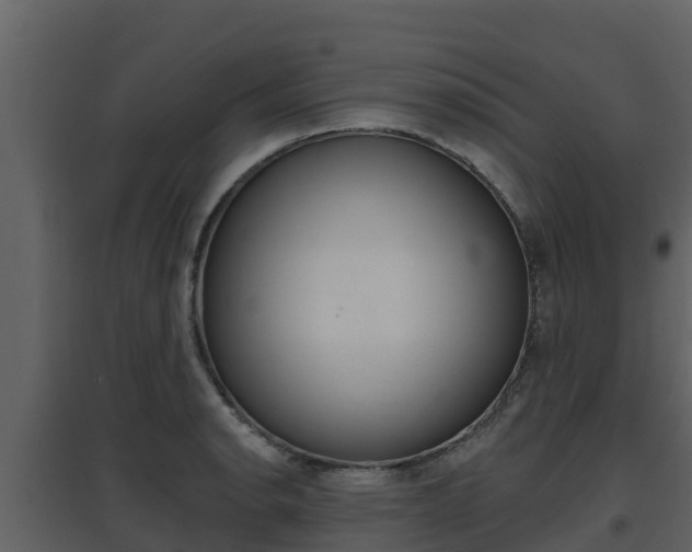 X0000097851134200803140850