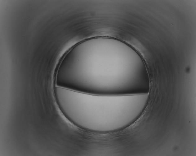 X0000097851135200803140851