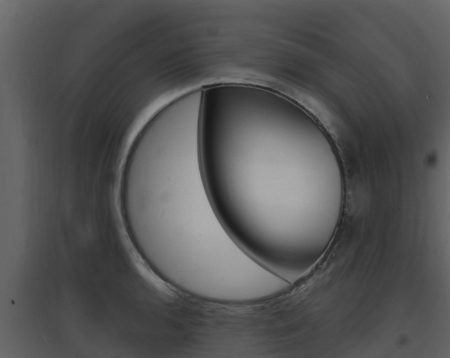 X0000097851136200803140851