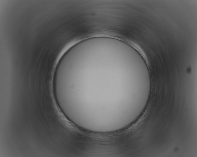 X0000097851138200803140851