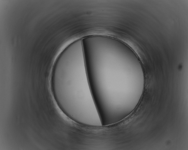 X0000097851139200803140851