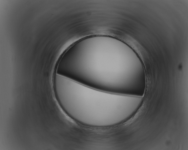 X0000097851141200803140851